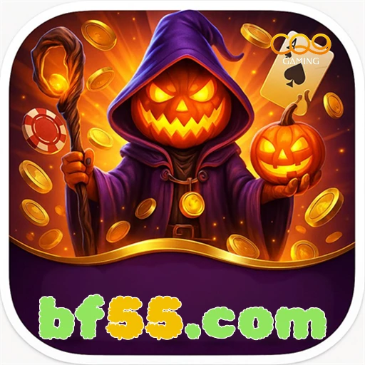 bf55.com logo